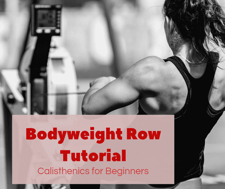 Bodyweight Row Tutorial | Calisthenics for Beginners – Thumper Massager ...