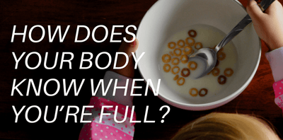 How does your body know when you’re full?