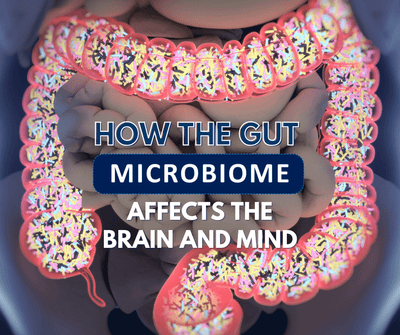 How the Gut Microbiome affects the Brain and Mind