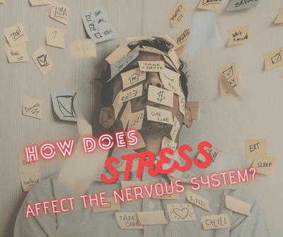 How‌ ‌Does‌ ‌Stress‌ ‌Affect‌ ‌the‌ Nervous‌ ‌System?‌ ‌