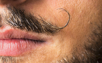 Movember Mustache Quiz