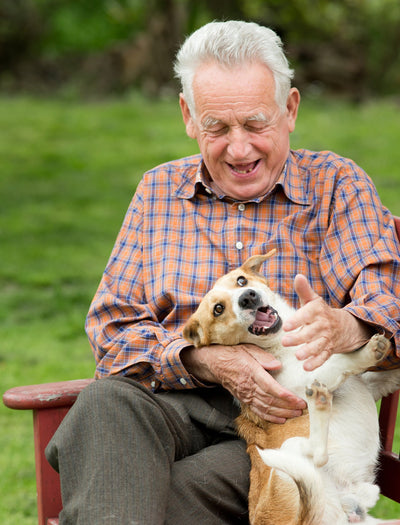 Benefits of Pet Therapy