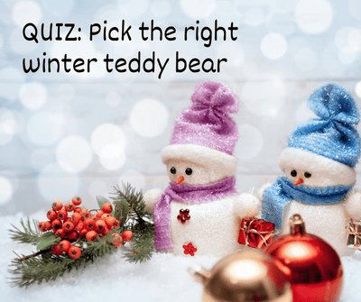 Pick the right winter teddy bear