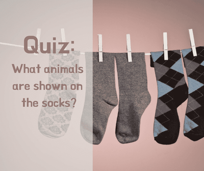 What animals are shown on the socks?