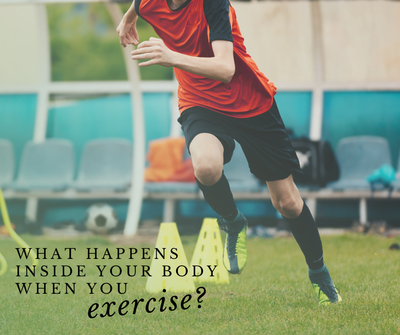 What happens inside your body when you exercise?