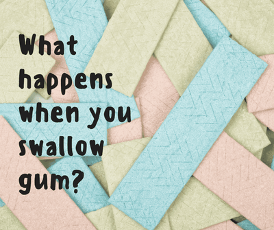 What happens when you swallow gum?