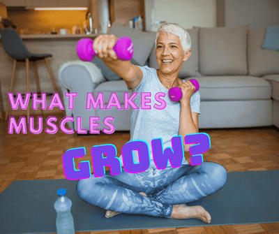 What makes muscles grow?
