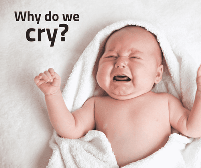 Why do we cry?