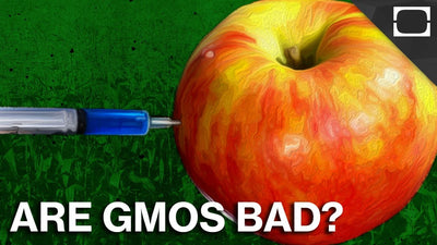 Are GMOs as Bad as You Think?