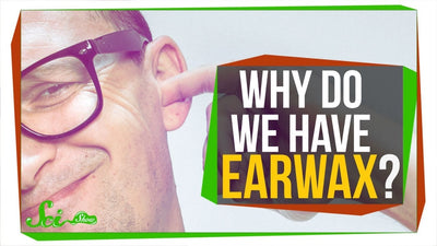 Why do we have Earwax?