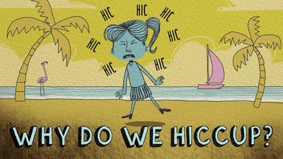 Why Do We Hiccup?