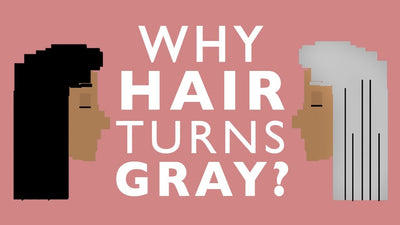 Why Will Our Hair Turn Grey?